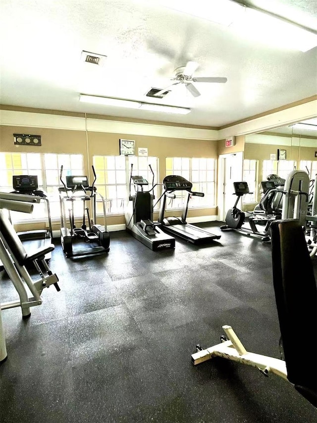 1057 S Hiawassee Rd Unit 1913, Orlando, FL 32835 - gym with healthy amount of natural light, a ceiling fan, and ornamental molding