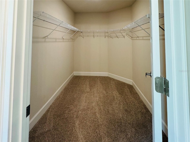 4326 Sagefield Dr, Harmony, FL 34773 - walk in closet with carpet floors