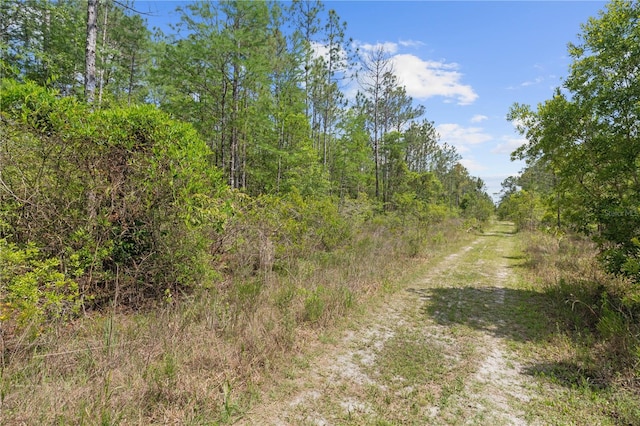 Crotty Ave, Hastings, FL 32145