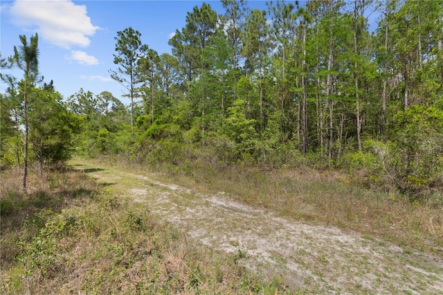 Crotty Ave, Hastings, FL 32145