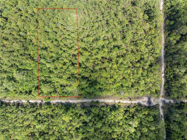 Crotty Ave, Hastings, FL 32145