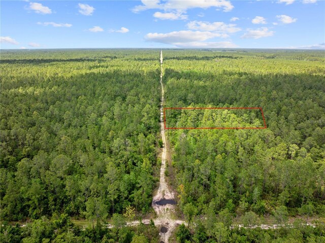 Crotty Ave, Hastings, FL 32145