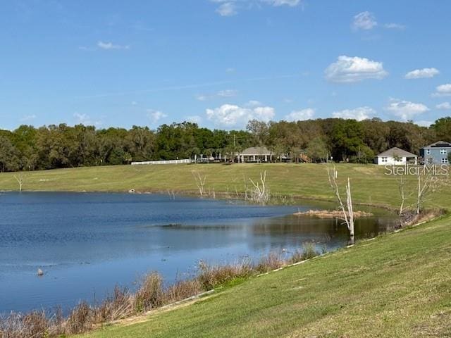 6780 Coral Berry Dr, Mount Dora, FL 32757 - water view