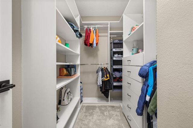 5365 Bowman Dr, Winter Garden, FL 34787 - view of spacious closet
