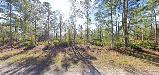 713 Alba Dr, Indian Lake Estates, FL 33855 - photo 4