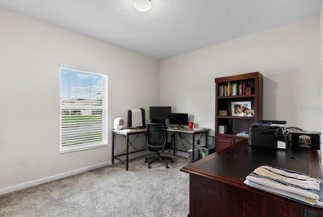 601 Watusi Way, Saint Cloud, FL 34772 - home office featuring carpet, baseboards, and a textured ceiling