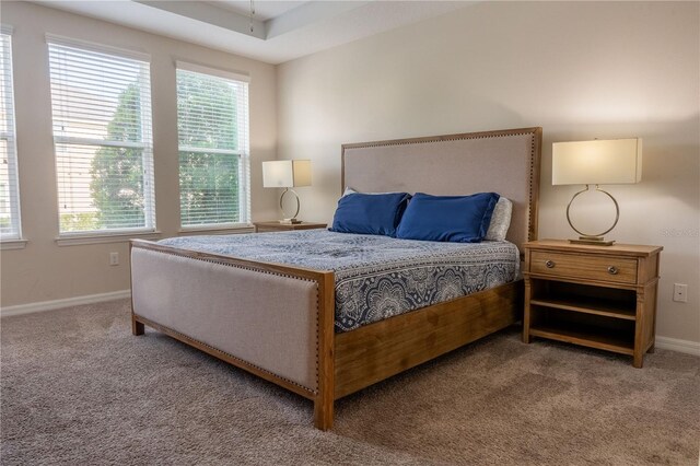 1836 Sandy Park Trl, Kissimmee, FL 34747 - bedroom featuring carpet flooring, multiple windows, and baseboards