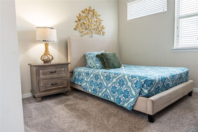 1836 Sandy Park Trl, Kissimmee, FL 34747 - bedroom with carpet flooring and baseboards