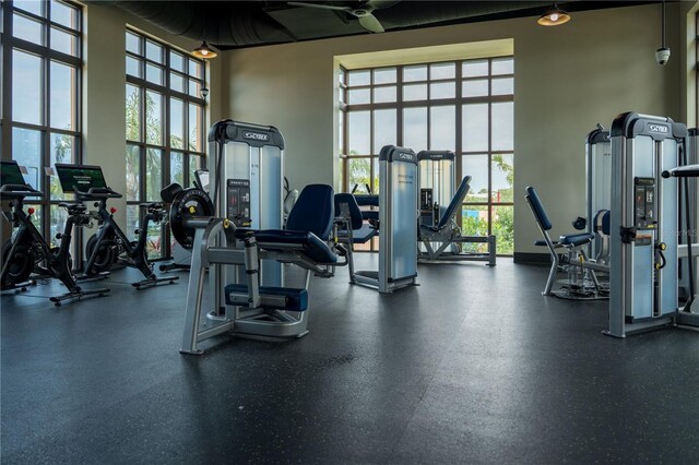 1836 Sandy Park Trl, Kissimmee, FL 34747 - gym with healthy amount of natural light and a towering ceiling