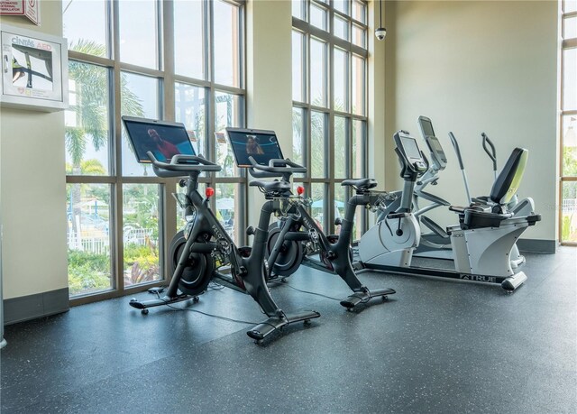 1836 Sandy Park Trl, Kissimmee, FL 34747 - exercise room with plenty of natural light and a high ceiling