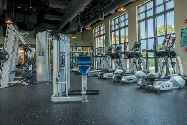 1836 Sandy Park Trl, Kissimmee, FL 34747 - exercise room featuring healthy amount of natural light and a high ceiling
