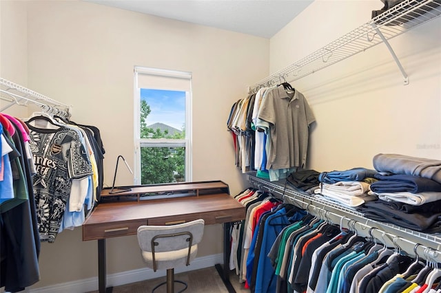 14126 Walcott Ave, Orlando, FL 32827 - view of spacious closet