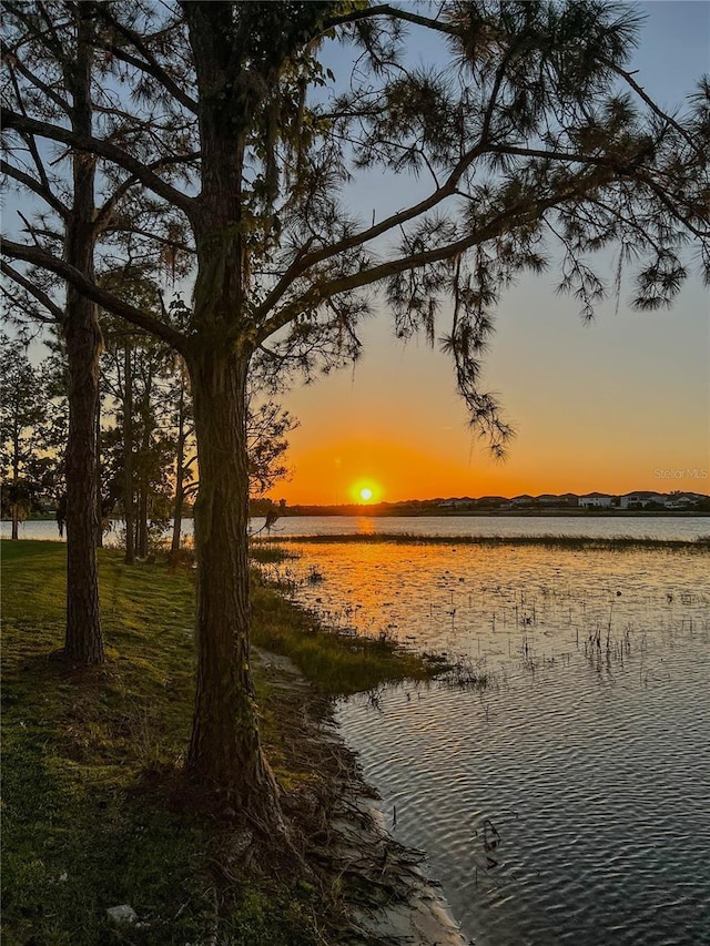 7550 John Hancock Dr, Winter Garden, FL 34787 - water view
