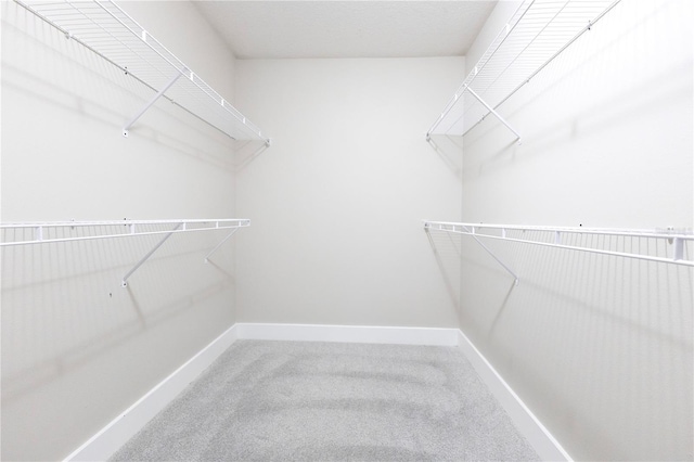 4993 Hook Hollow Cir, Orlando, FL 32837 - spacious closet with carpet