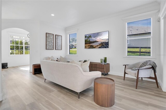 17657 Windy Pine St, Montverde, FL 34756 - living room with ornamental molding, light wood-type flooring, recessed lighting, arched walkways, and baseboards