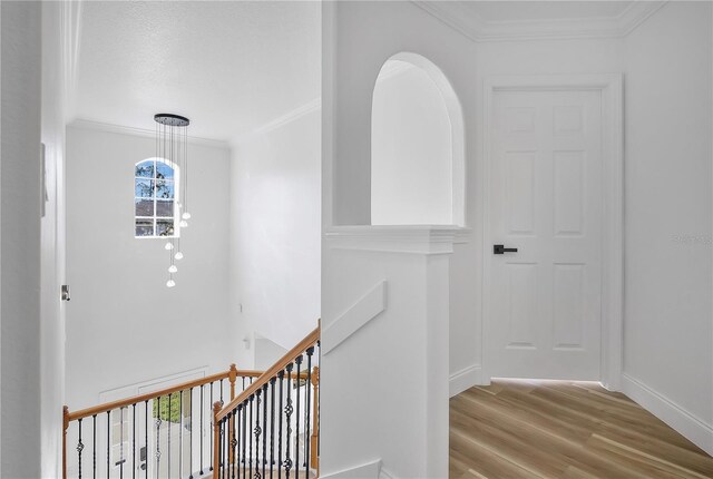 17657 Windy Pine St, Montverde, FL 34756 - hall with ornamental molding, an upstairs landing, wood finished floors, and baseboards
