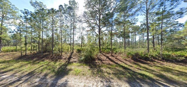 710 Portulaca Dr, Indian Lake Estates, FL 33855 - photo 5