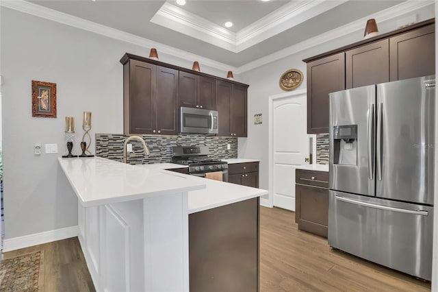 2100 Shantiniketan Blvd, Tavares, FL 32778 - kitchen featuring stainless steel appliances, ornamental molding, dark brown cabinetry, a tray ceiling, and decorative backsplash