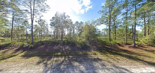 711 Alba Dr, Indian Lake Estates, FL 33855 - photo 5