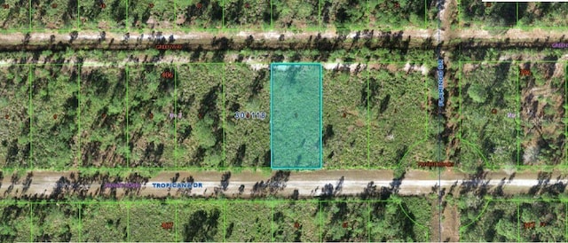 706 Tropicana Dr, Indian Lake Estates, FL 33855 - photo 1