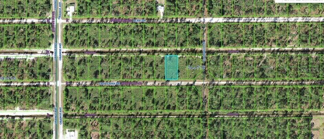706 Tropicana Dr, Indian Lake Estates, FL 33855 - photo 4