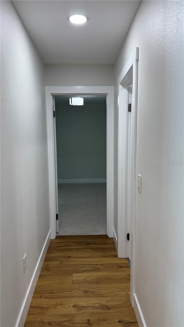 6428 Lynn Rd, Orlando, FL 32810 - hallway with wood finished floors and baseboards
