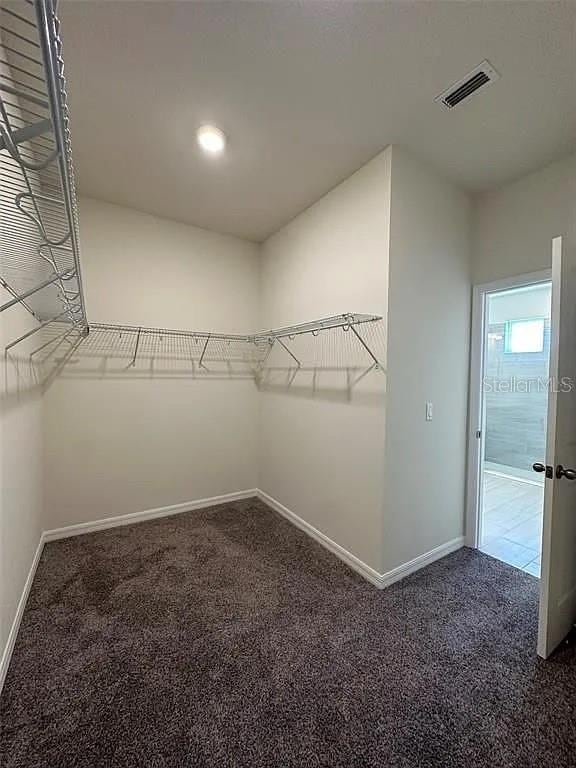 605 Big Pine Ave, Minneola, FL 34715 - spacious closet with carpet flooring