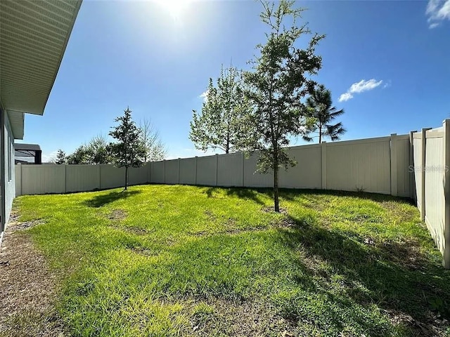 605 Big Pine Ave, Minneola, FL 34715 - view of yard