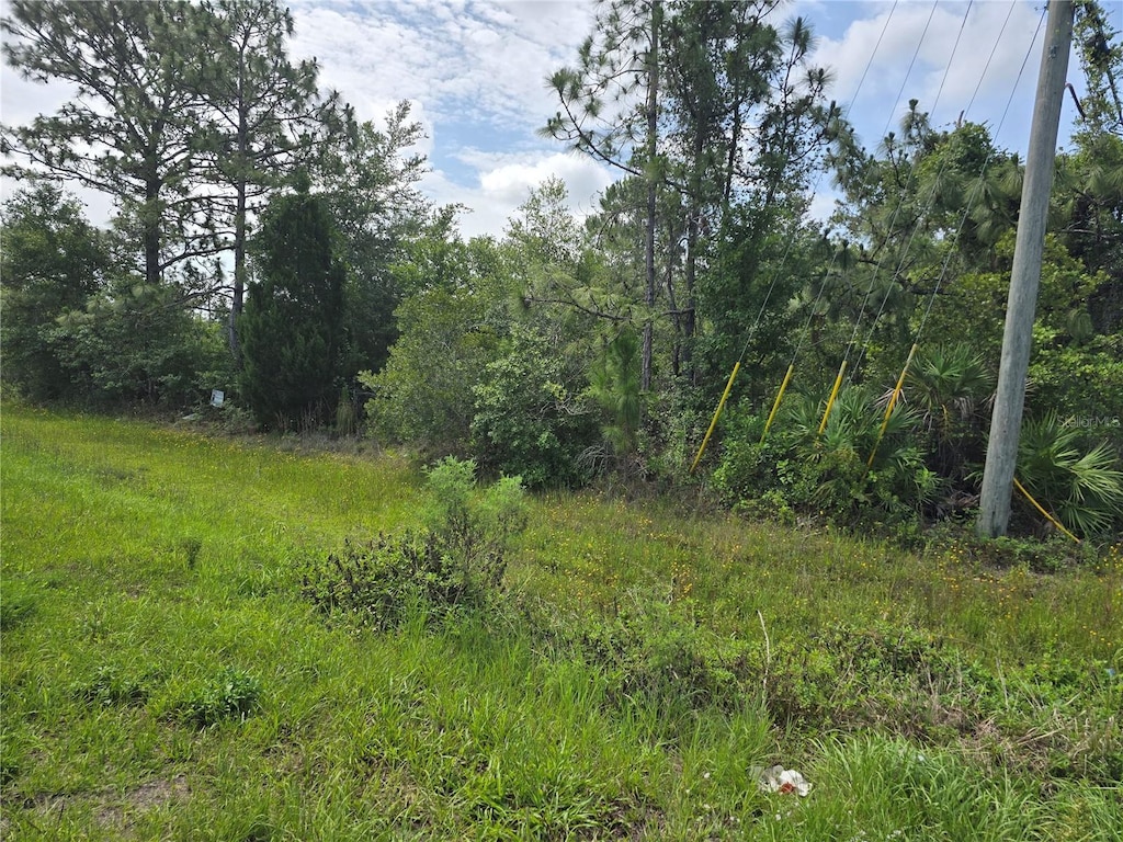 Quarterly Pkwy, Orlando, FL 32833 - photo 1