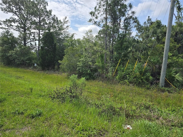 Quarterly Pkwy, Orlando, FL 32833 - photo 1