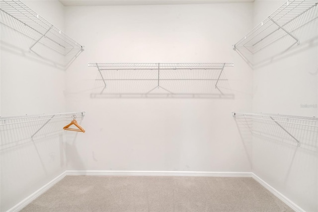 2479 Pine Preserve Ct, Saint Cloud, FL 34771 - spacious closet featuring carpet