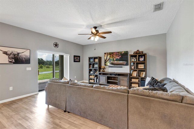 16406 Blooming Cherry Dr, Groveland, FL 34736 - photo 8