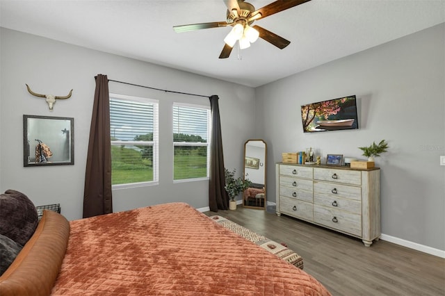 16406 Blooming Cherry Dr, Groveland, FL 34736 - photo 11