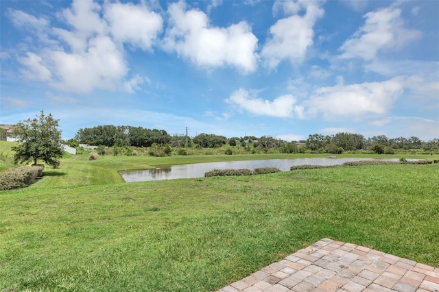 16406 Blooming Cherry Dr, Groveland, FL 34736 - photo 18