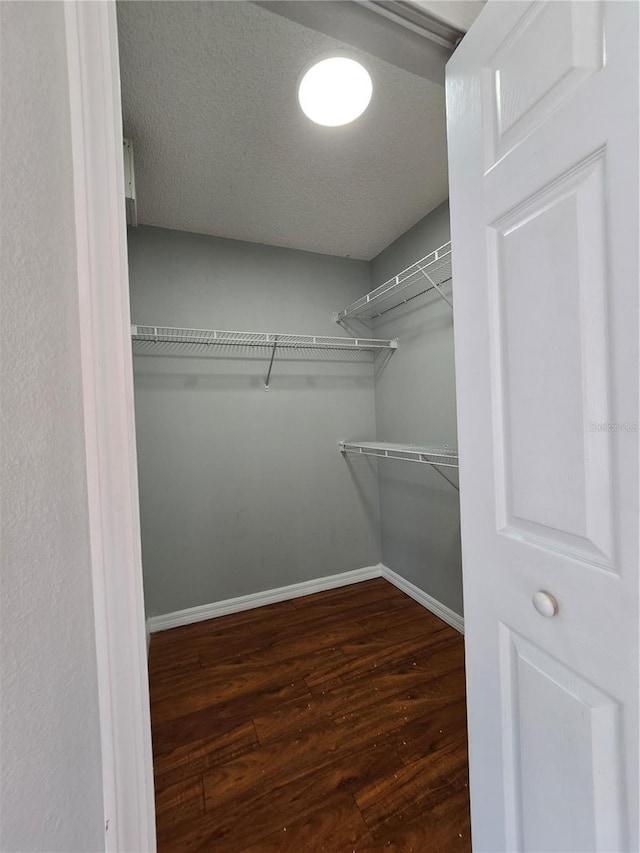 1754 Fritwell Ct, Ocoee, FL 34761 - spacious closet featuring hardwood / wood-style flooring