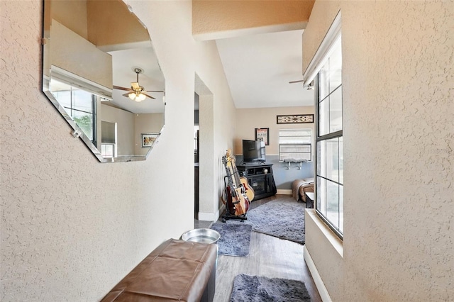 1111 Liberty Ave, Mount Dora, FL 32757 - hall with wood finished floors, plenty of natural light, a textured wall, and baseboards