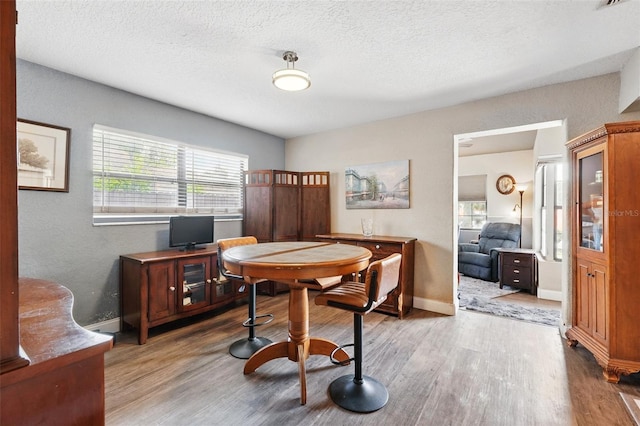1111 Liberty Ave, Mount Dora, FL 32757 - office space featuring healthy amount of natural light, wood finished floors, a textured ceiling, and baseboards