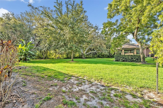 9455 Belmont Ter, Oviedo, FL 32765 - view of grassy yard
