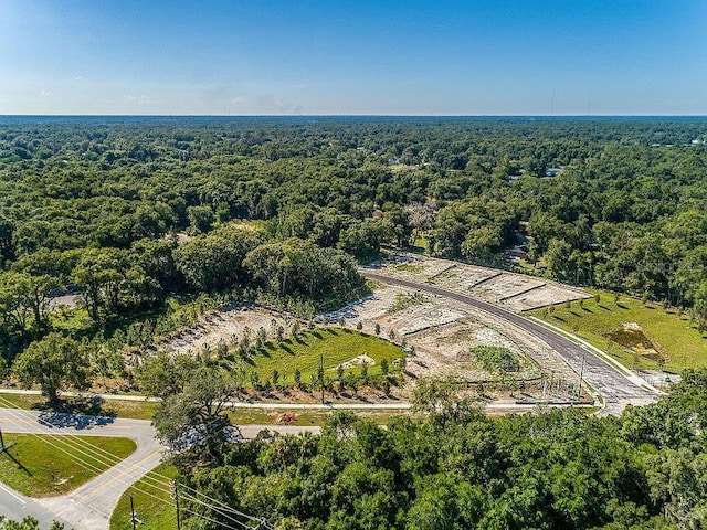 131 Addle Hill Ct, Deland, FL 32720 - bird's eye view of a heavily wooded area
