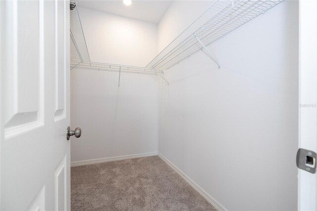 873-875 Colville Dr, Poinciana, FL 34759 - photo 22