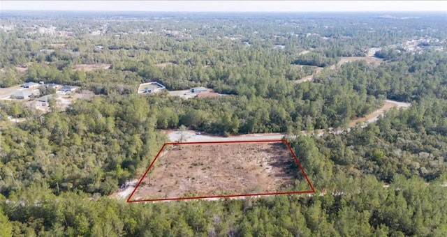 SW 35th Ter SW, Ocala, FL 34473