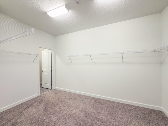 4632 Egg Harbor Dr, Kissimmee, FL 34746 - walk in closet featuring carpet floors