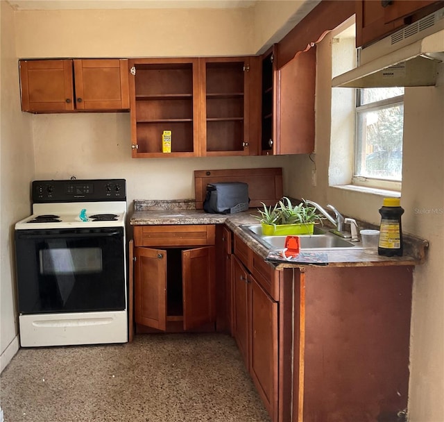 58 W 27th St Unit N, West Palm Beach, FL 33404 - kitchen with range with electric stovetop, a sink, brown cabinets, open shelves, and dark aggregate flooring
