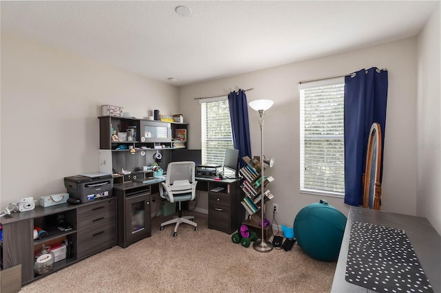 5217 Creekside Park Ave, Orlando, FL 32811 - office area featuring light carpet and plenty of natural light