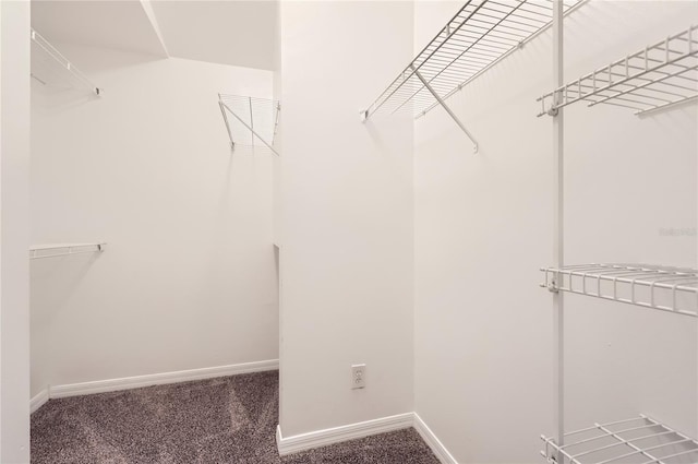 4305 Balmoral Ct, Wesley Chapel, FL 33543 - walk in closet with carpet flooring