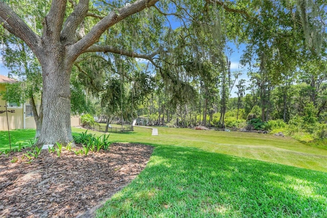 11602 Graces Way, Clermont, FL 34711 - view of green lawn
