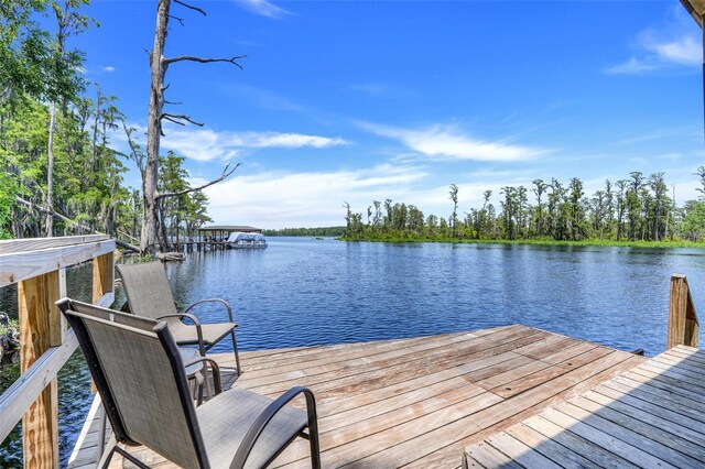 11602 Graces Way, Clermont, FL 34711 - dock with a water view