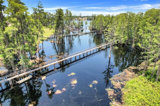11602 Graces Way, Clermont, FL 34711 - water view