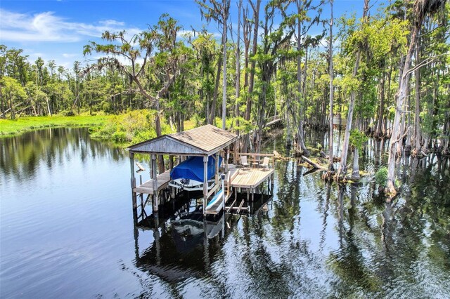 11602 Graces Way, Clermont, FL 34711 - dock with boat lift and a water view