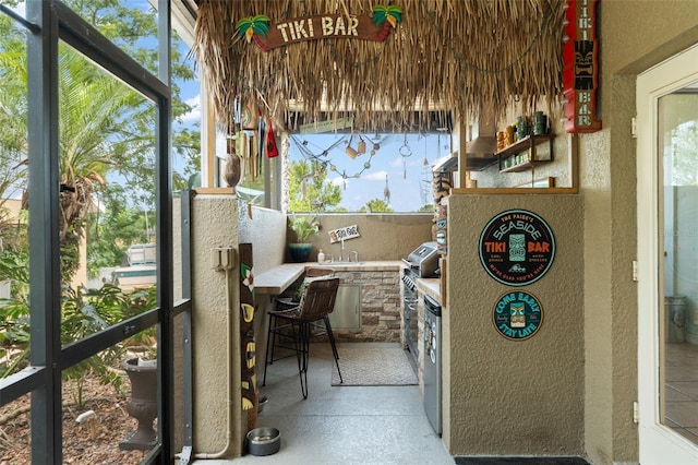 17523 Doris St, Montverde, FL 34756 - sunroom / solarium featuring healthy amount of natural light, area for grilling, and a sink